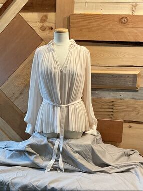 Banana Republic Creamy Pale Pink Pleated Chiffon Peplum Blouse with Tie Waist